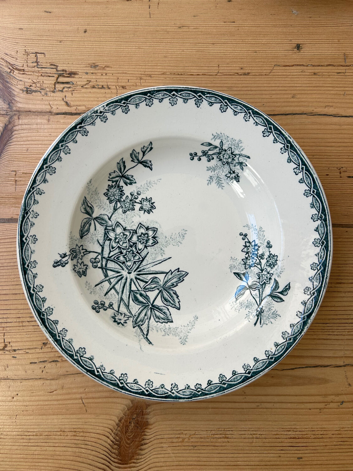 Set of 5 antique deep plates "Terre de Fer"