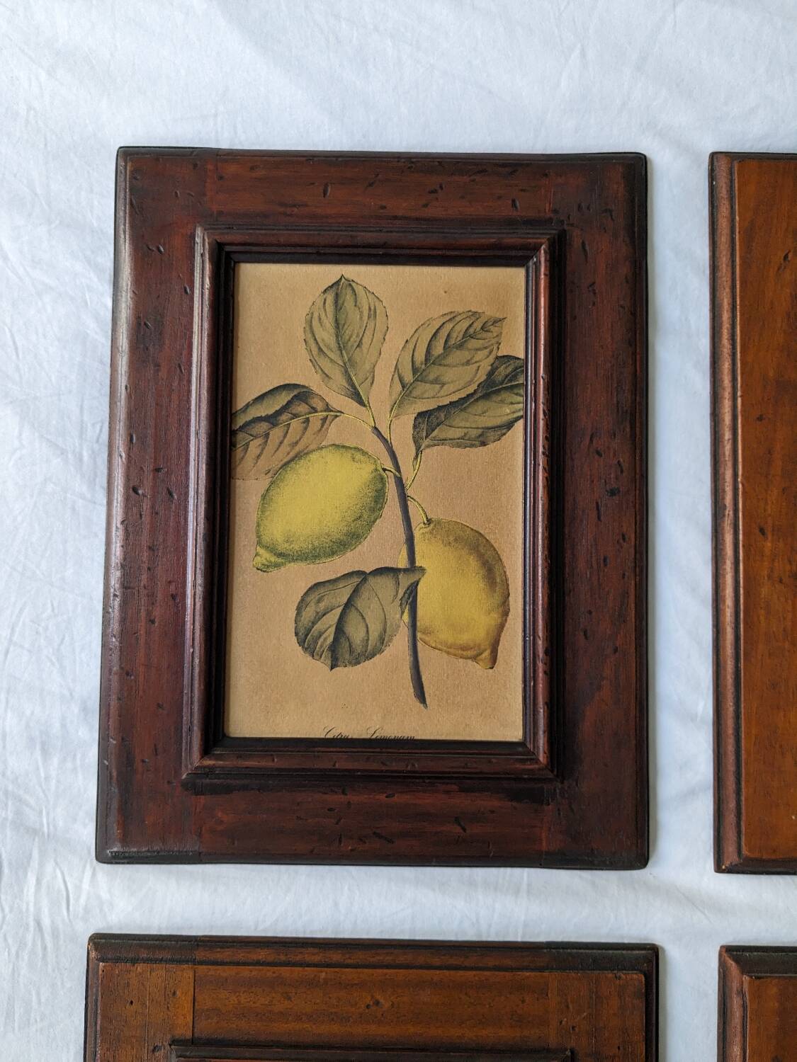 4 fruit paintings