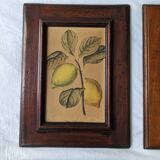 4 fruit paintings
