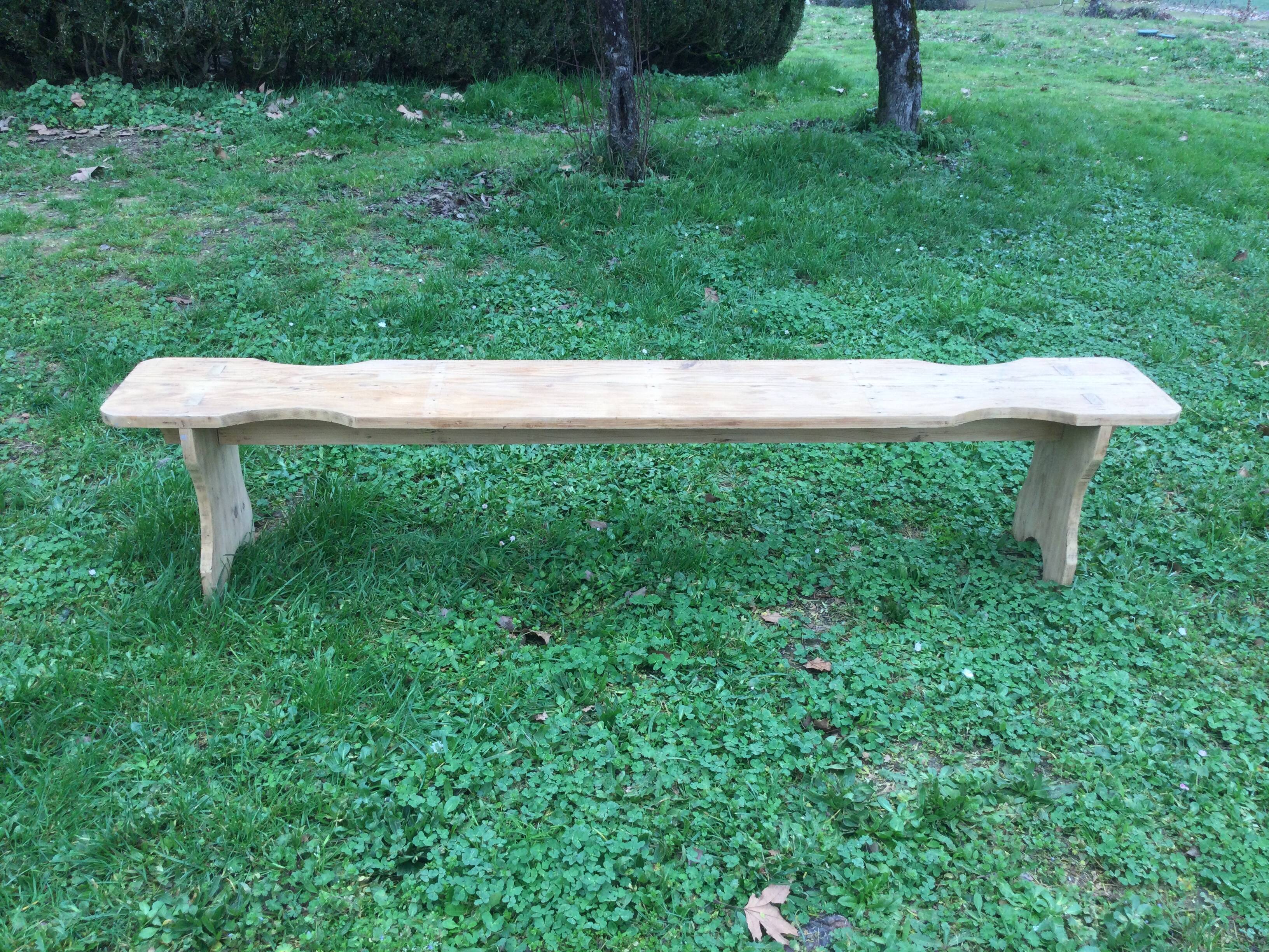 Large old fir bench