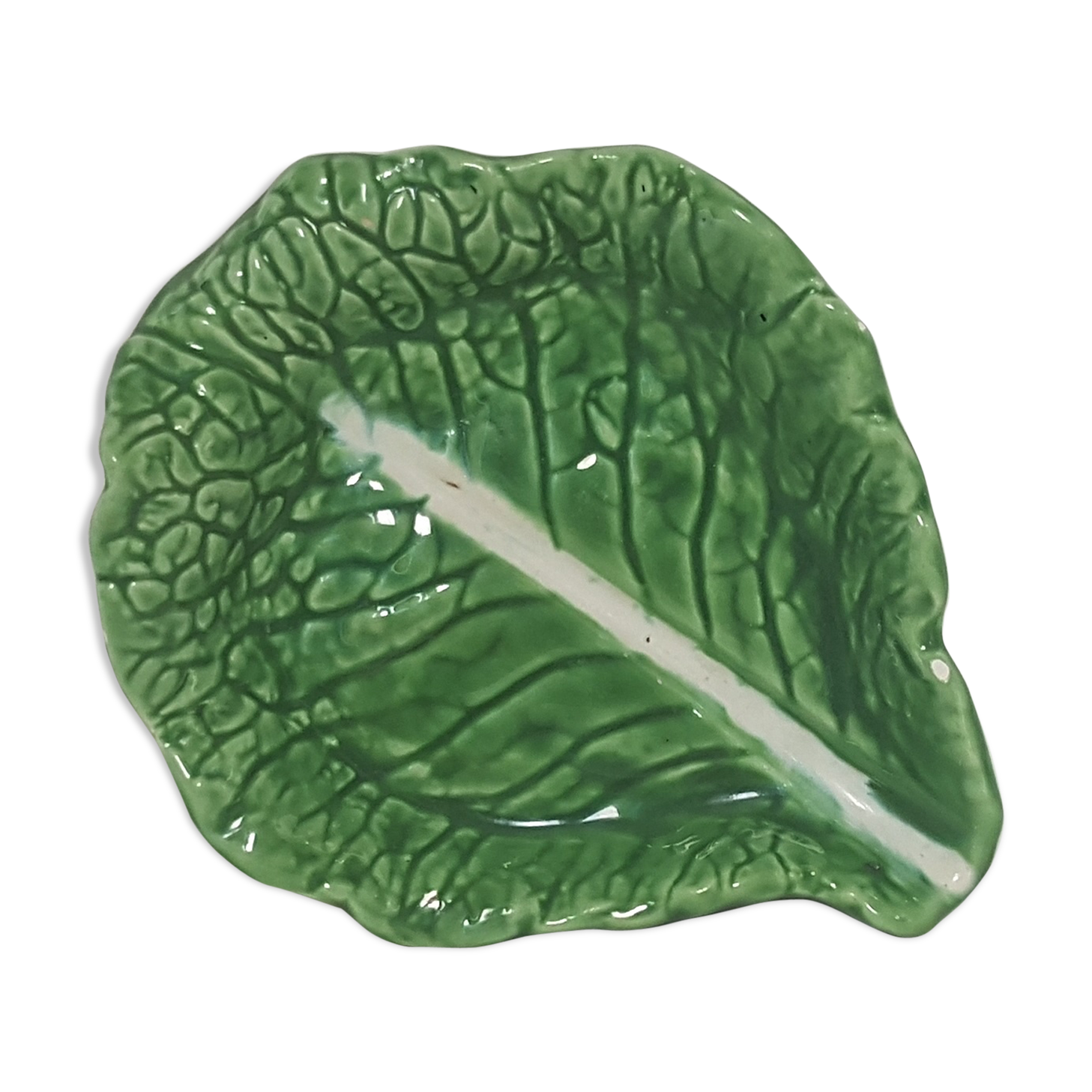 Cabbage leaf in dabbling