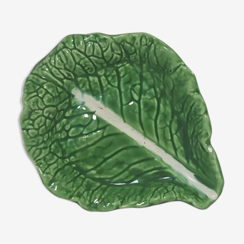 Cabbage leaf in dabbling