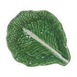 Cabbage leaf in dabbling