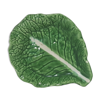 Cabbage leaf in dabbling