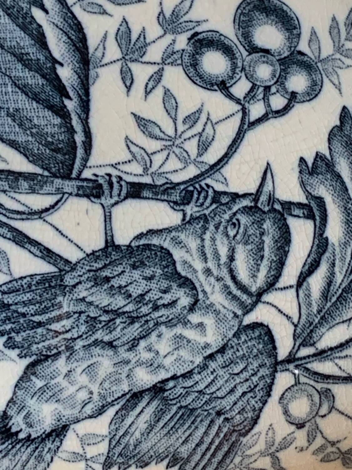 Ironstone soup tureen 1900s with birds and blackberries Nimy