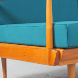 Antimott Daybed from Walter Knoll / Wilhelm Knoll, 1950s
