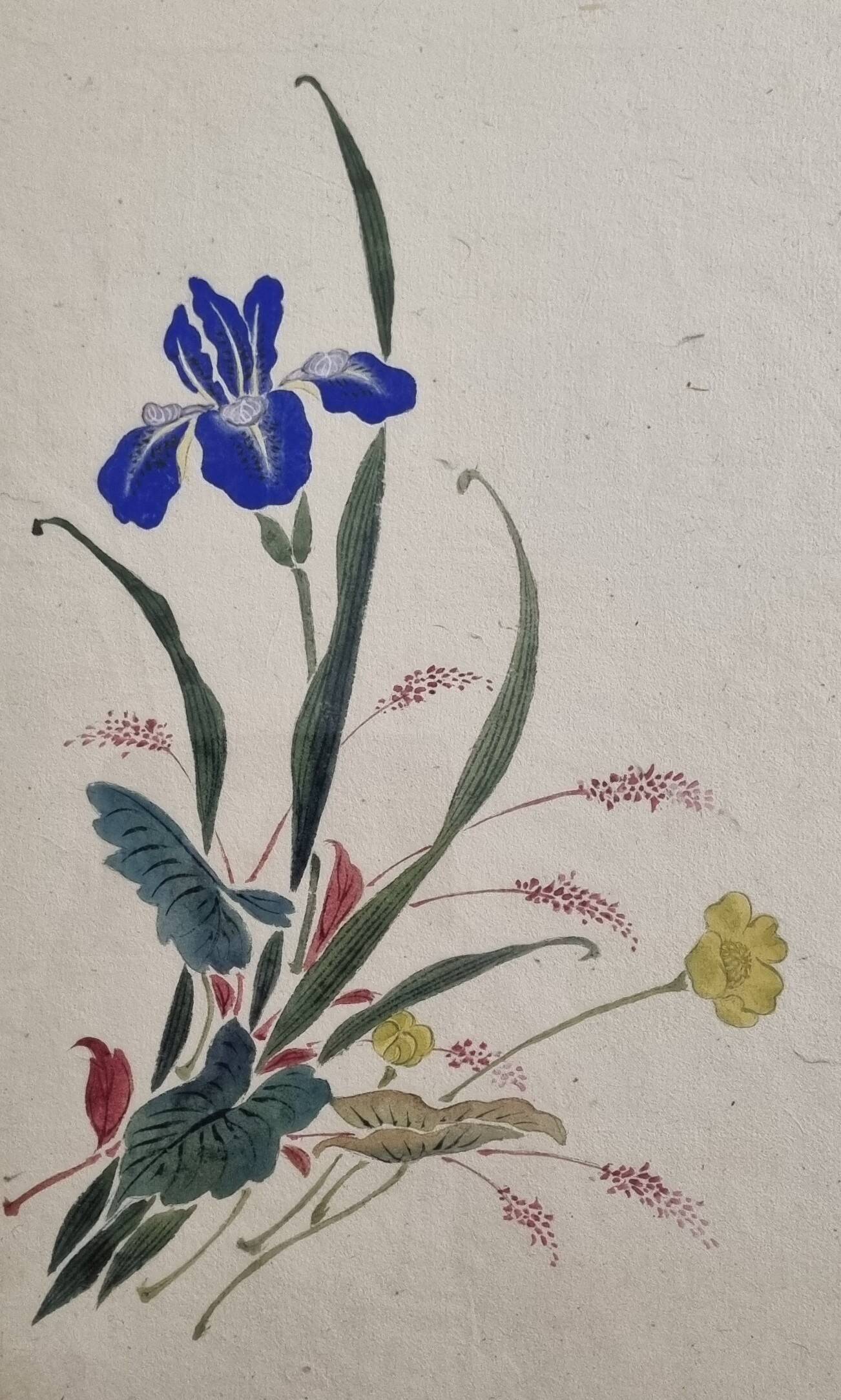 Ancient Japanese watercolour, Iris, Meiji era, around 1900, 33 × 43 cm