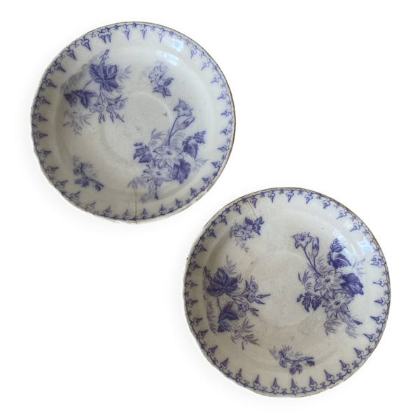 Assiettes en terre de fer décor Flore , coupelles  anciennes