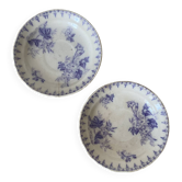Ironstone plates with Flore decoration, antique bowls.