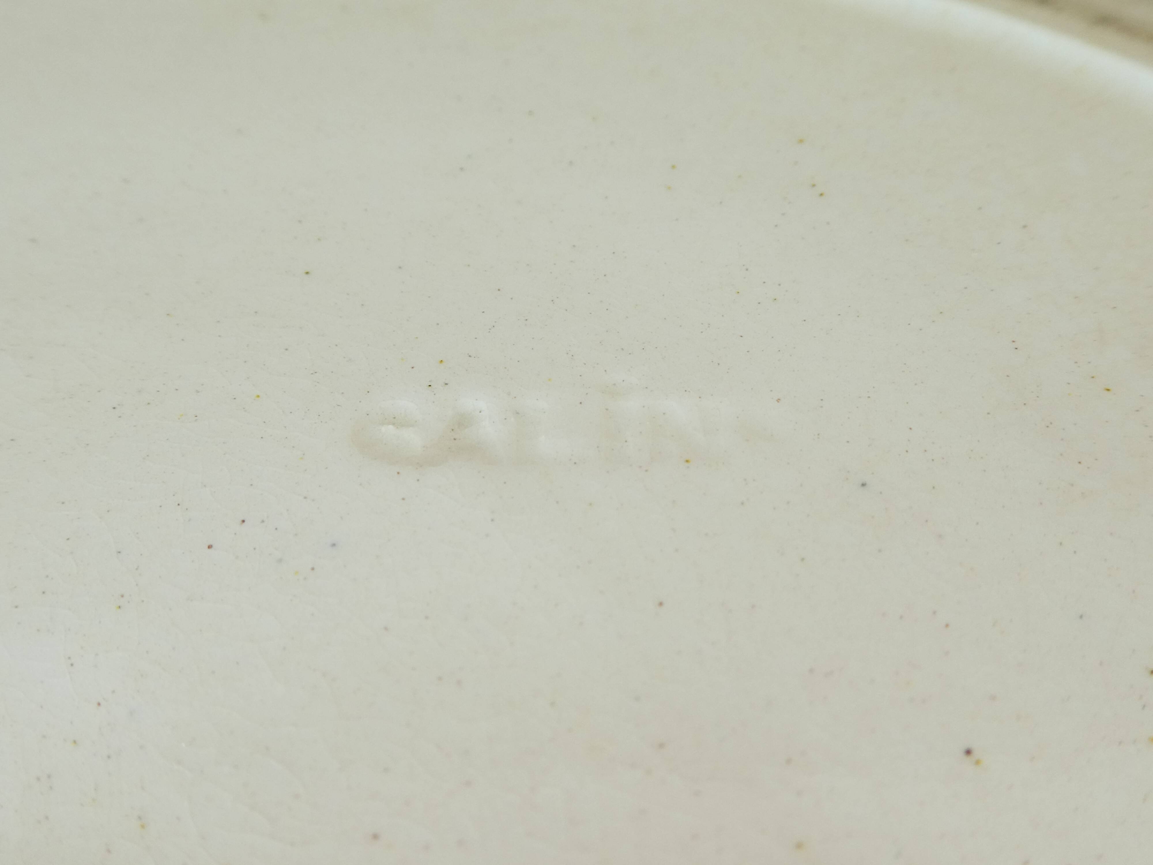 Soupiere in faience salins-les-bains floral decoration around 1900