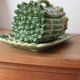 Saucer in the shape of asparagus