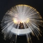 Fiber optic lamp