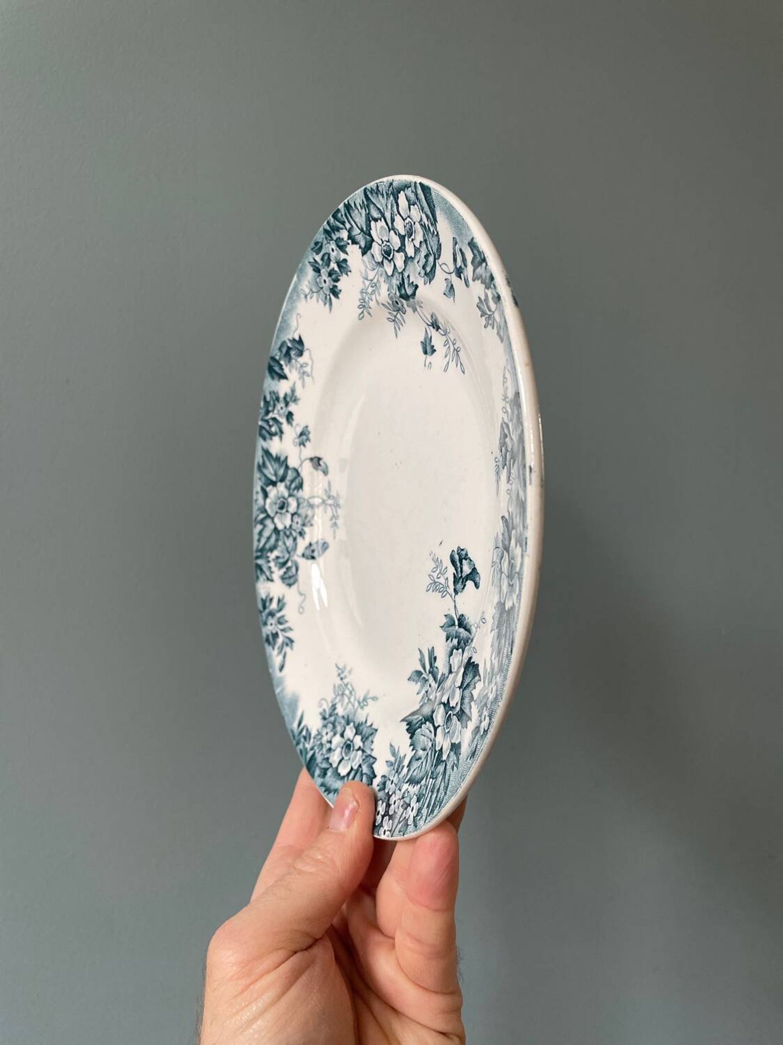 Series of 9 flat plates Terre de Fer “Marie-Louise” St Amand and Hamage