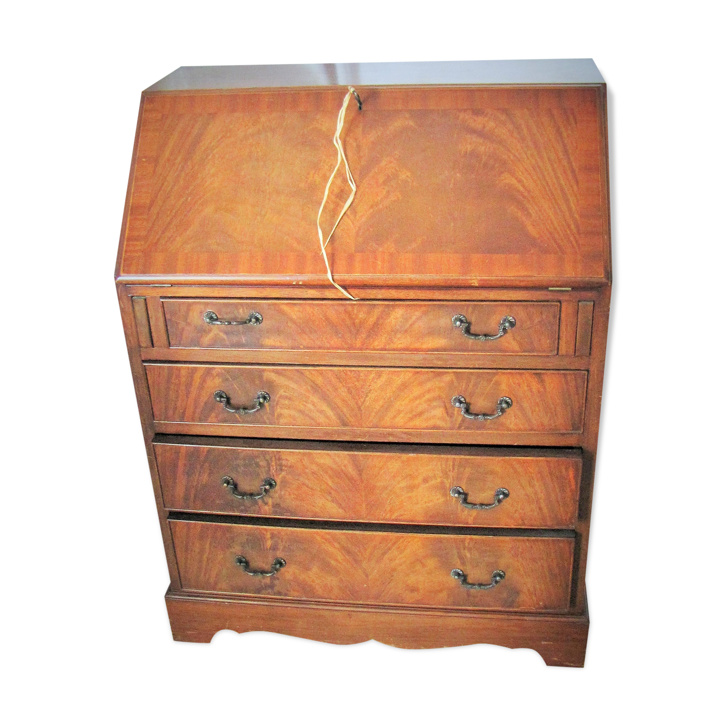 English secretary in walnut grazing