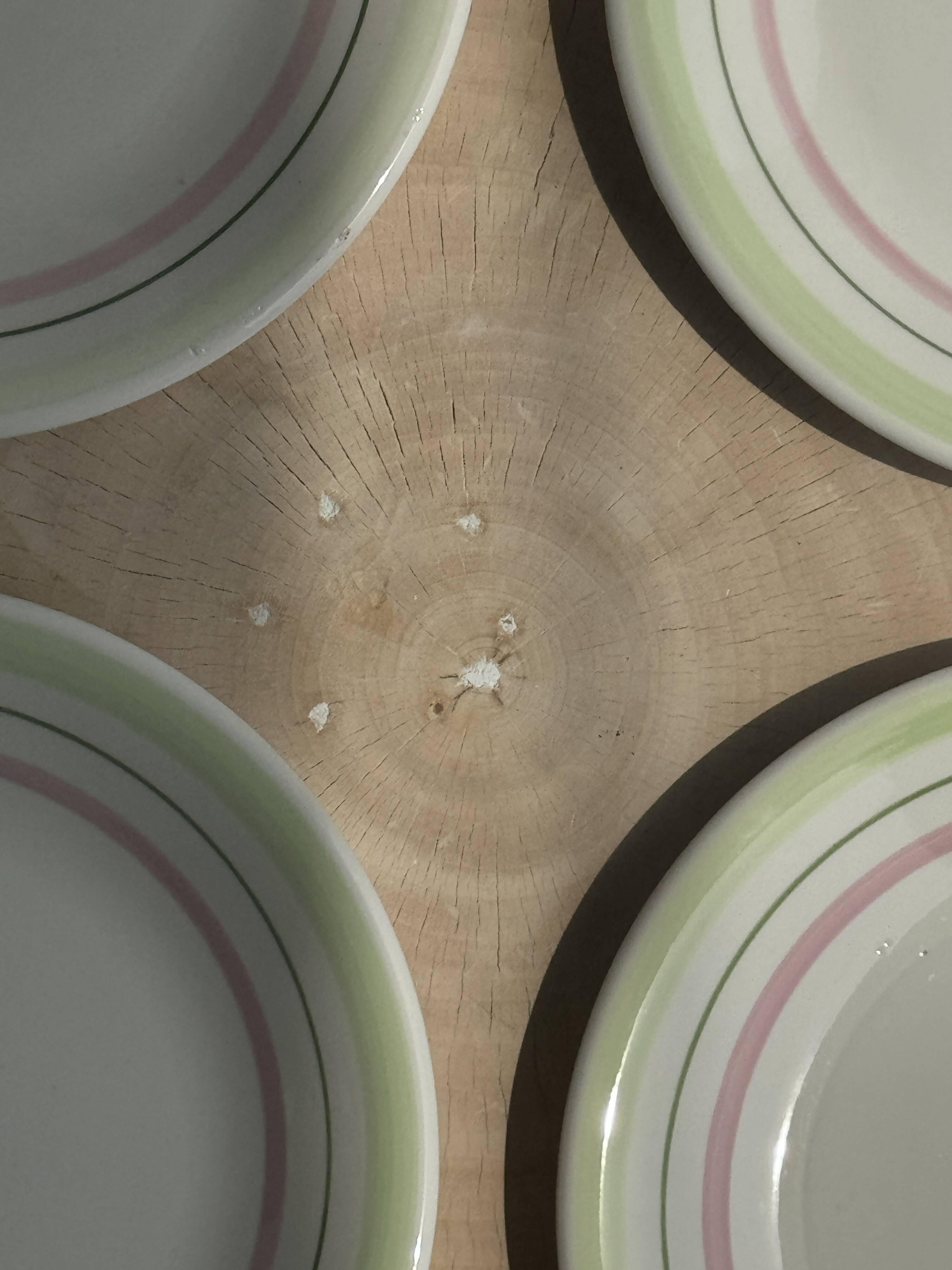 Set of 12 green and pink Italian plates