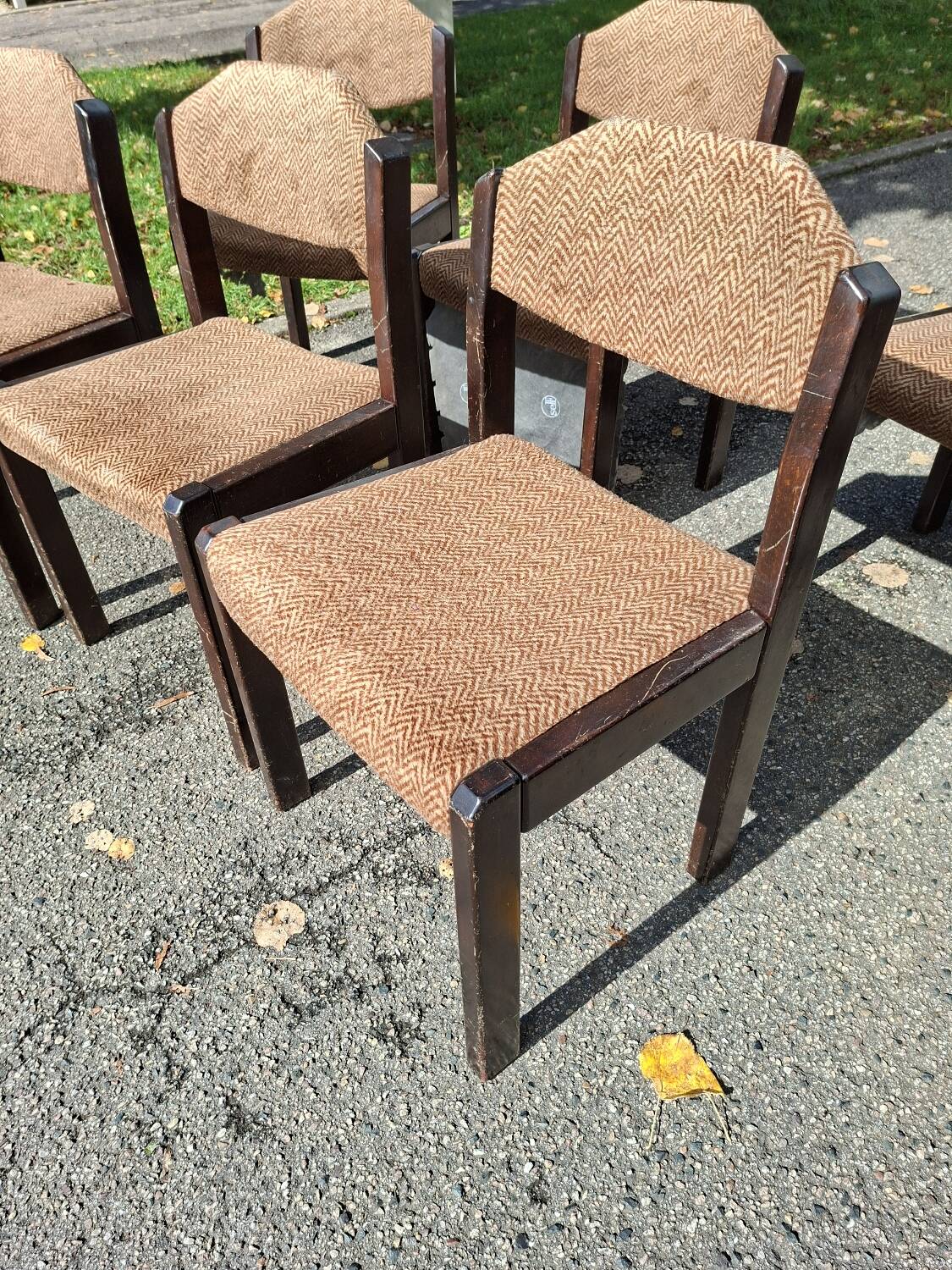 Six wooden Self chairs