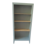 Vintage shallow bookcase re-enchanted in verdigris.