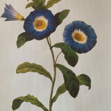 Vintage flower poster