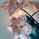 Murano glass flower wall lamp