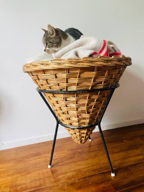 Vintage basket Rohe Noordwolde
