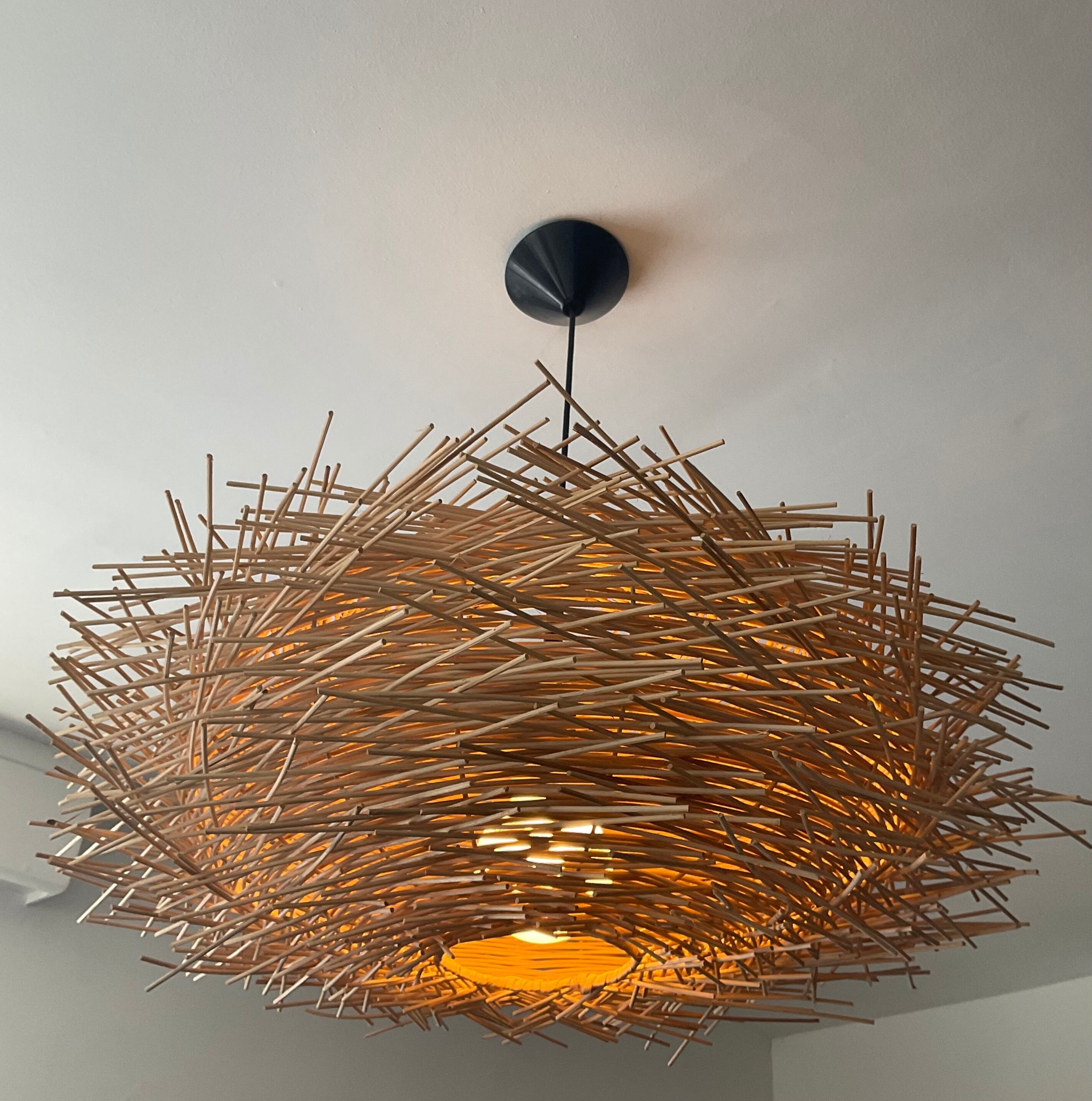 Natural rattan nest suspension