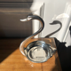 Empty silver swan pocket