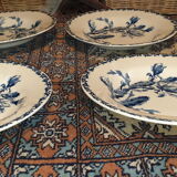 Plates gien model Cactus hollow