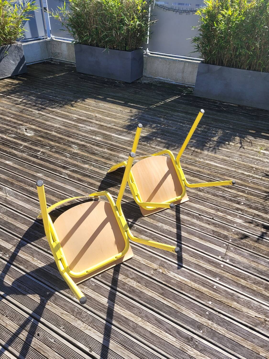 Pair of yellow plywood chairs