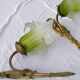 Pair of gilded metal glass paste sconces from the early 20th century