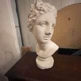 Half 20th-century plaster bust of an antique woman.
