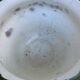 Art Nouveau earthenware cachepot