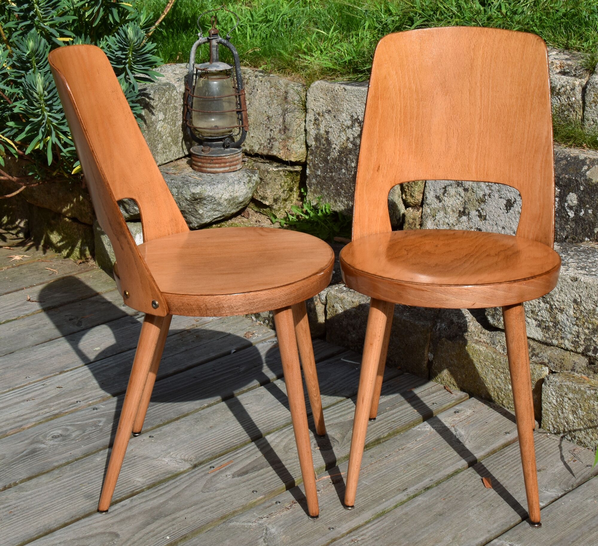 Set of 6 chairs mondor of baumann 1964