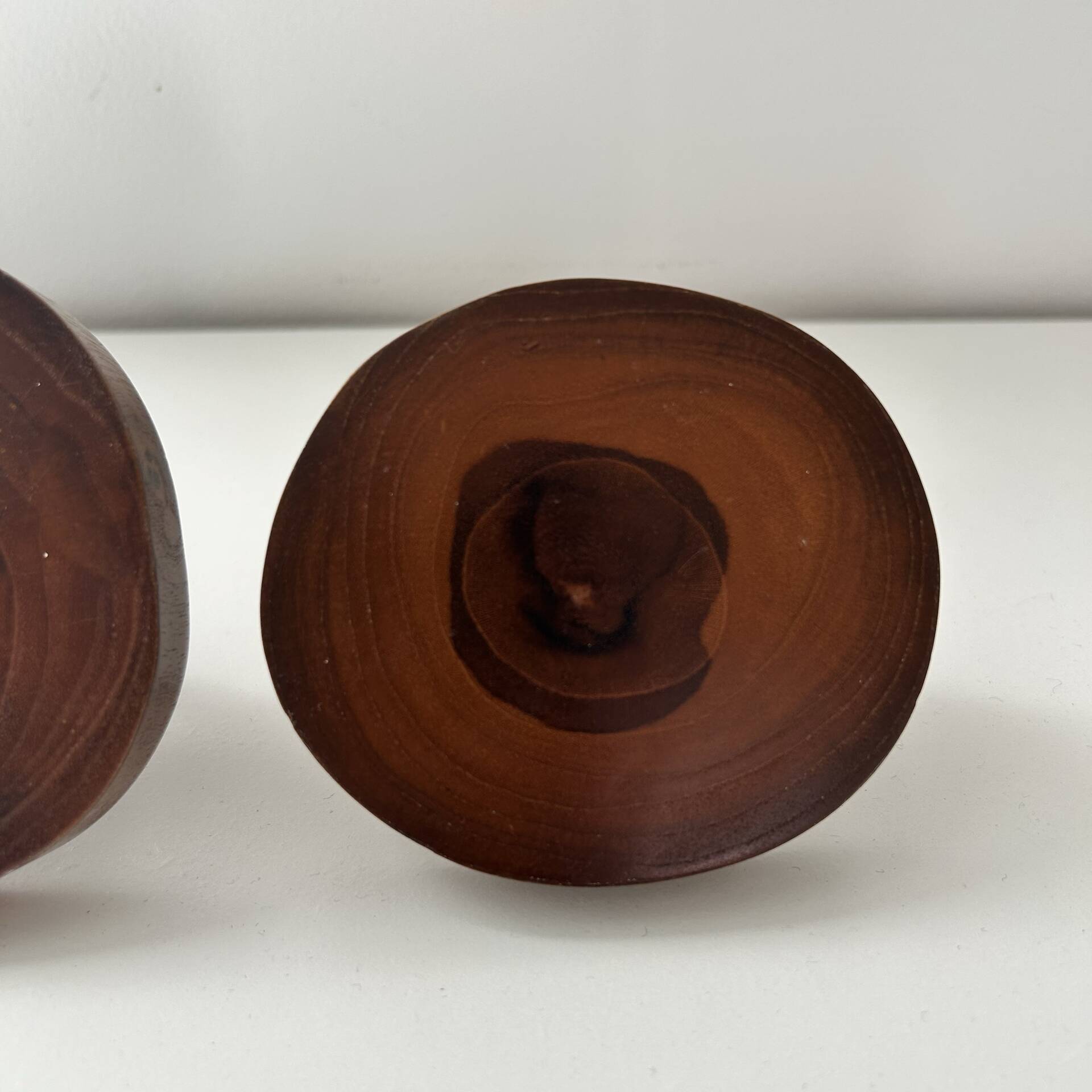 Pair of Scandinavian trunk hooks