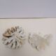 Corail coraux
