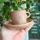 12-cup service with saucers and a pourer - Vieux grès de la Tour