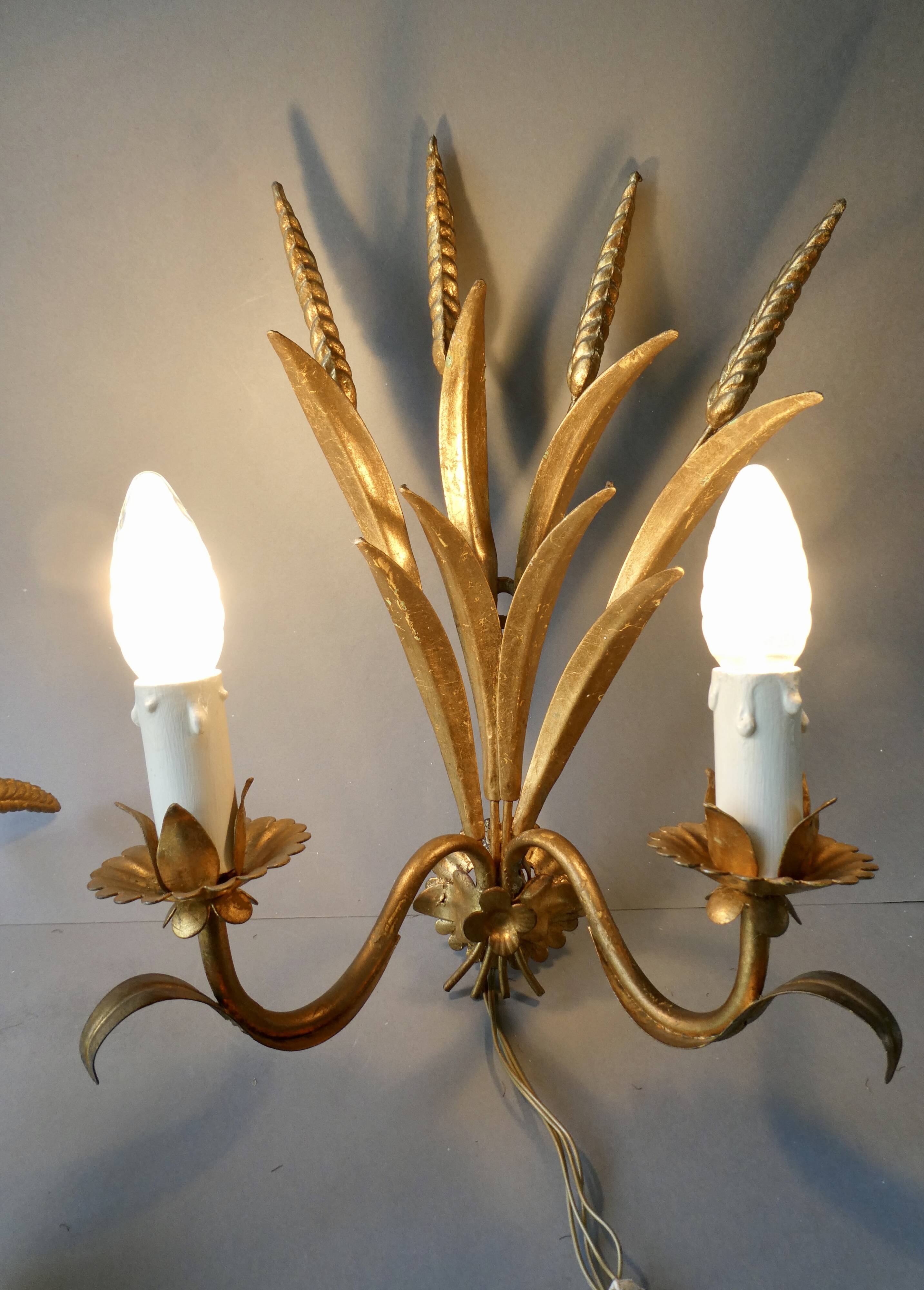Pair of ear of wheat wall lights in gold metal, 1970s