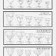 Set of 6 engraved wine glasses