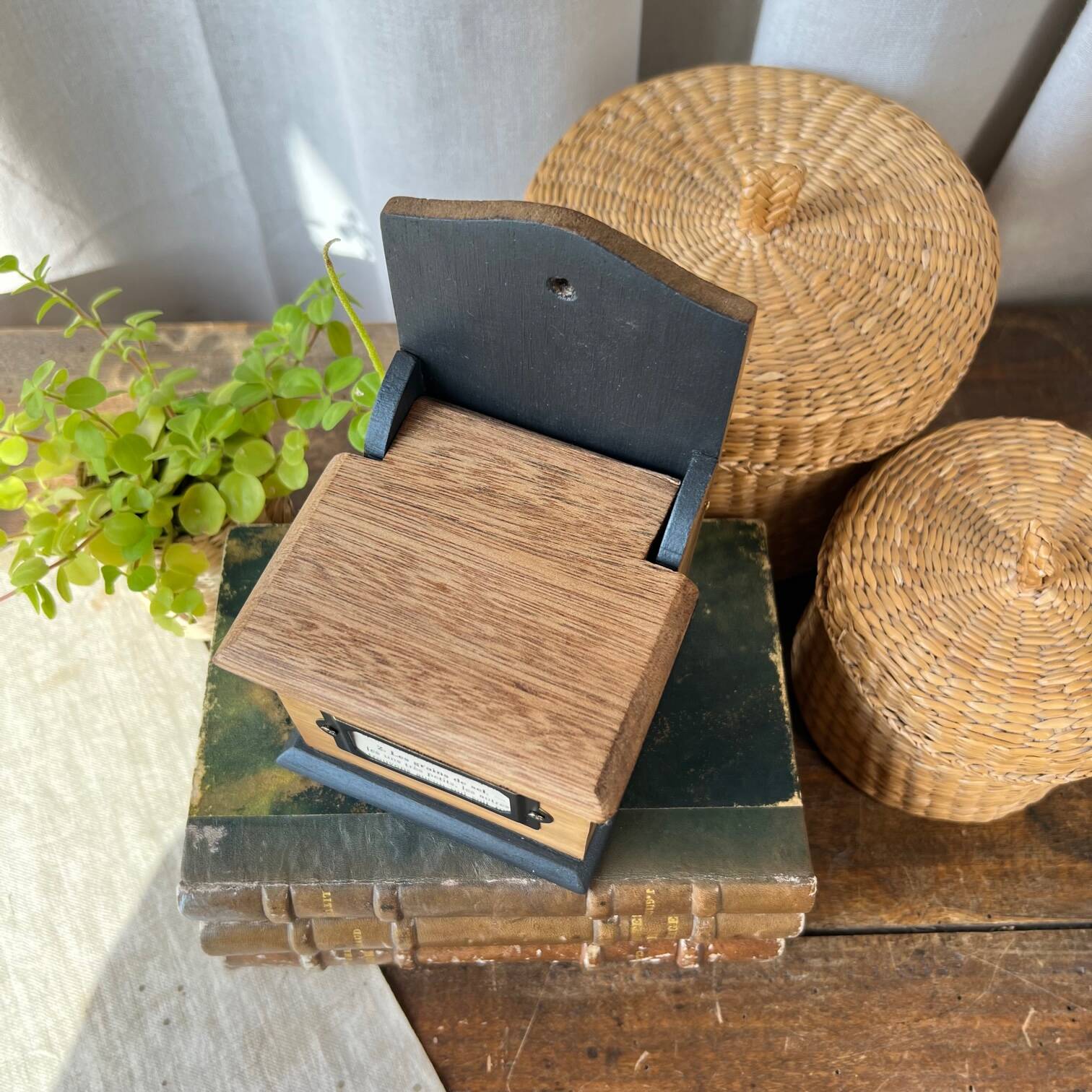 Small “grains of salt” salt box