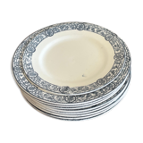 Plates Salins blue earth of iron
