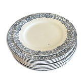 Plates Salins blue earth of iron