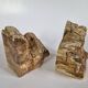 Pair of petrified wood bookends