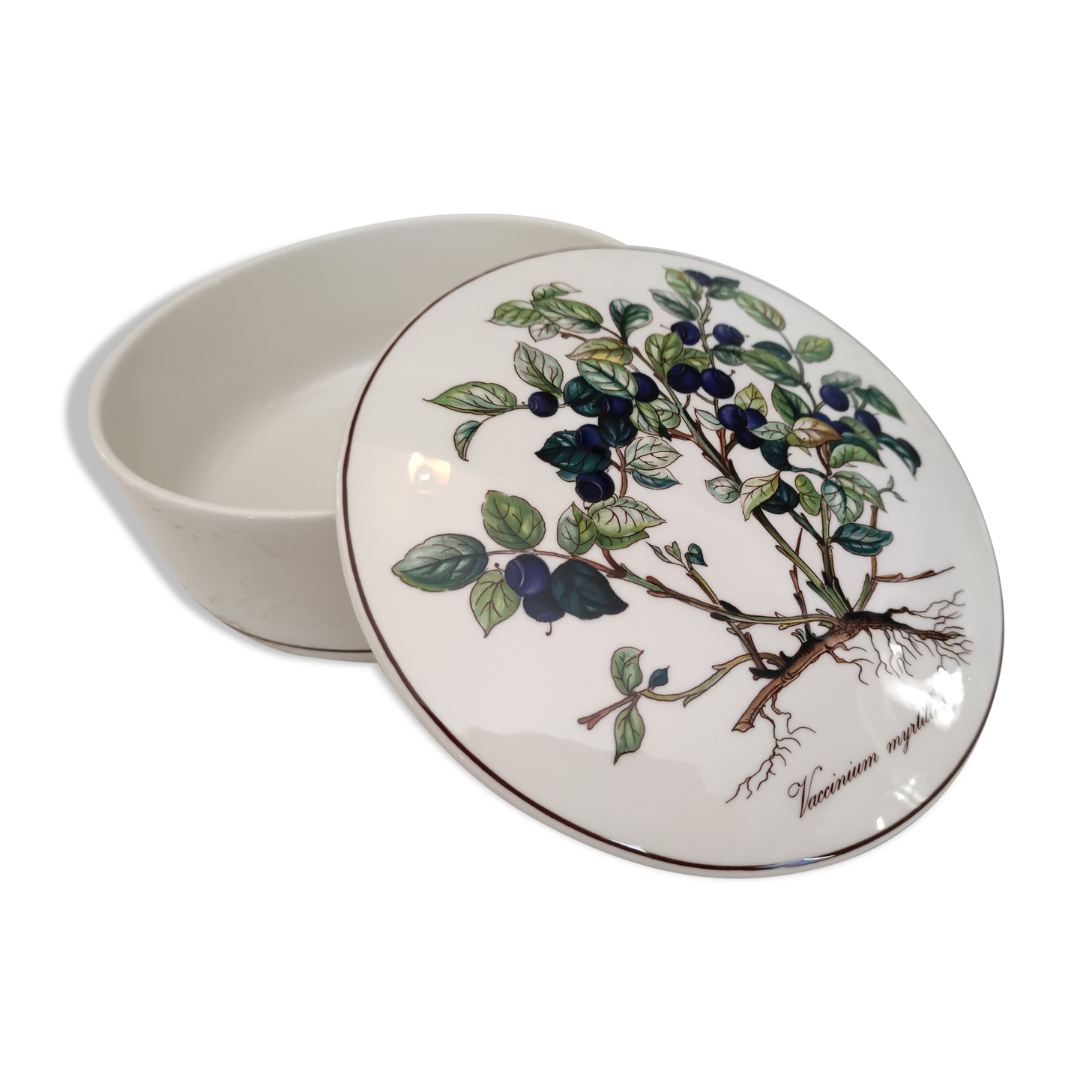 Porcelain box villeroy & boch model botanica "vaccinium myrtillus"