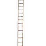 Old tree trunk ladder