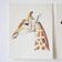 Bestiary plates from the Natural History Museum The giraffe