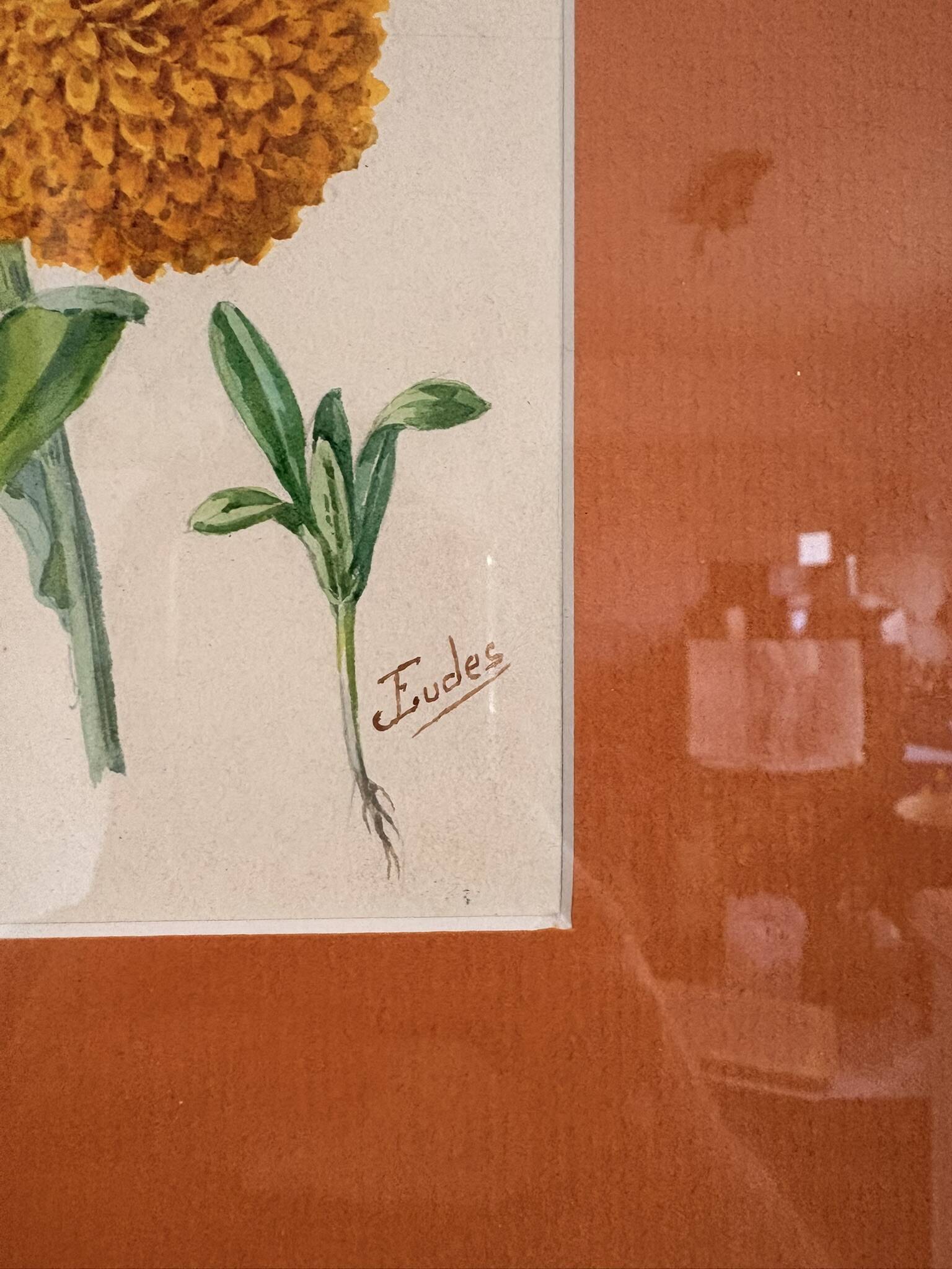 Watercolour Tableau Iconography Flowers Naturalism Rose Tagetes erecta nature