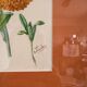 Watercolour Tableau Iconography Flowers Naturalism Rose Tagetes erecta nature