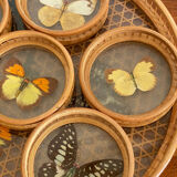 Rattan butterfly tray and coasters