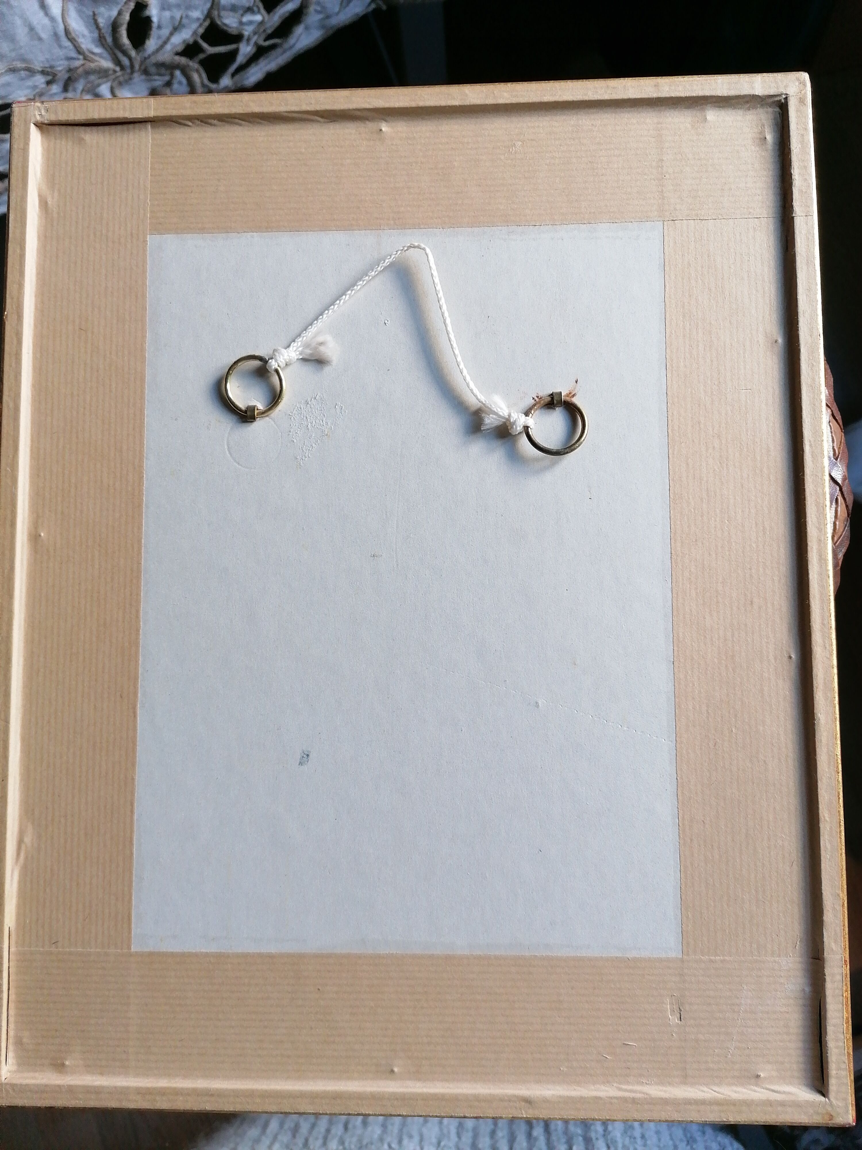 Violets, botanical drawing