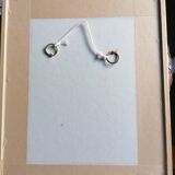 Violets, botanical drawing