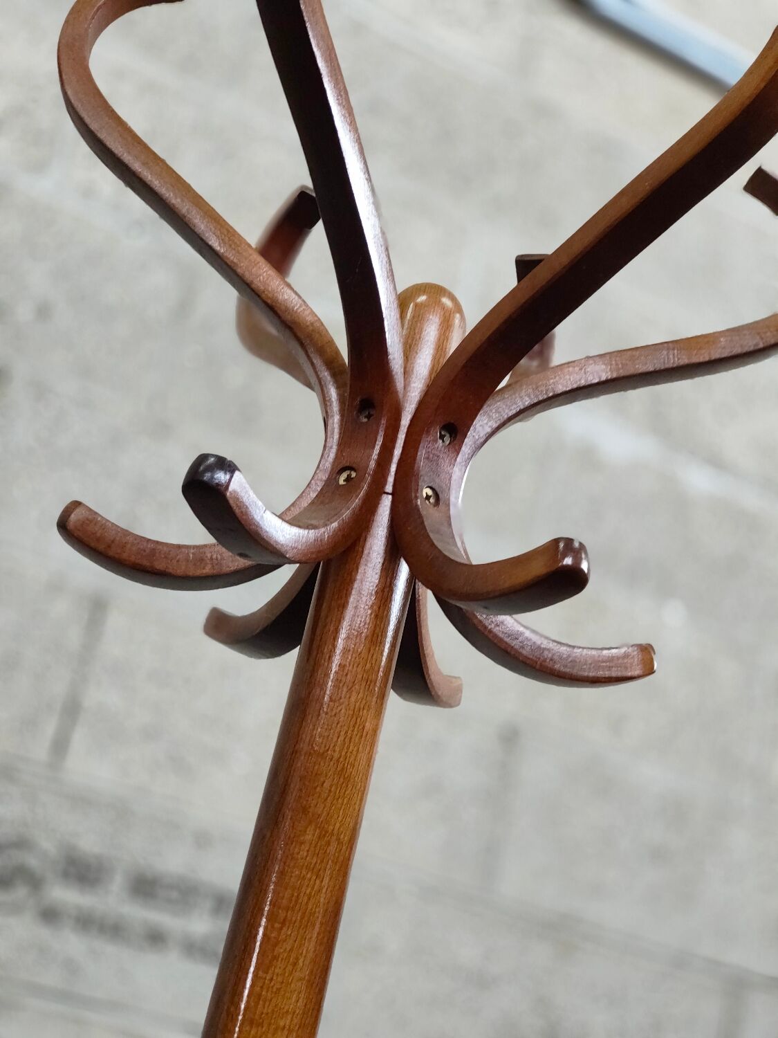 Baumann beech coat rack